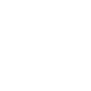 Puma Logo
