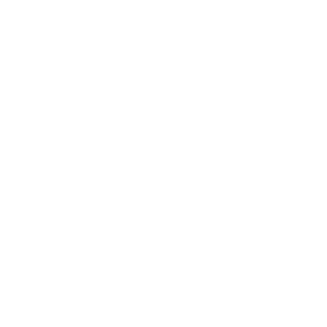 Magna Logo