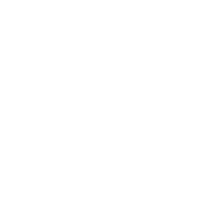 C&P Immobilien AG Logo