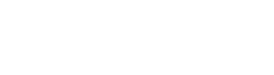 light logo